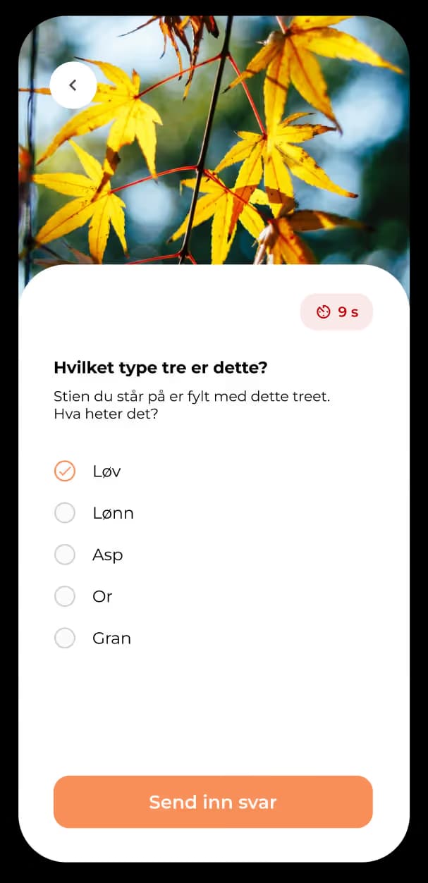 Skjermbilde av produktet Rebus